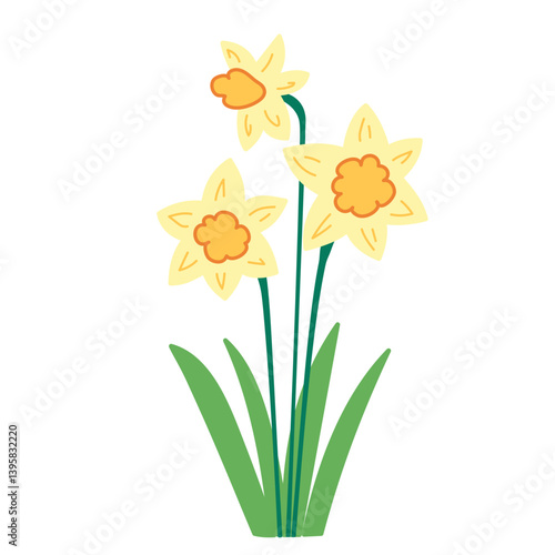 Simple vector flower illustration on transparent background. Yellow daffodils narcissus.