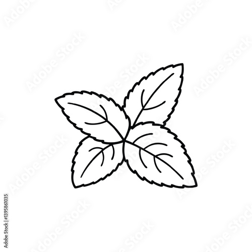 mint  line art vector Illustrator 