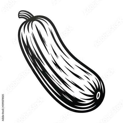 Isolated Zucchini Black and White Outline Vegetable Art on White