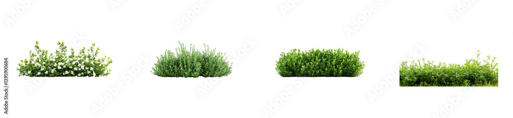 Fototapeta premium Lush green bushes, shrubs, and flowers in an outdoor setting, cut out transparent