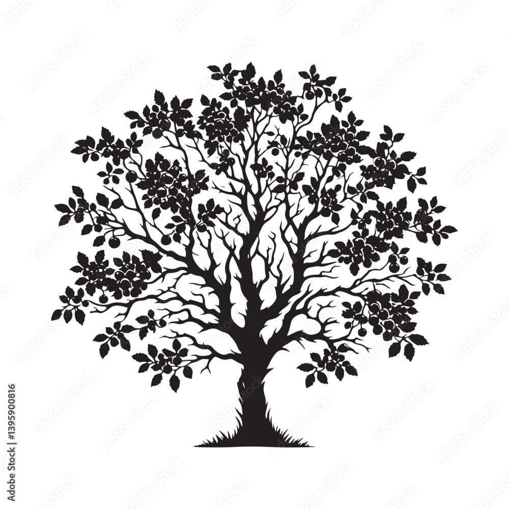 Fototapeta premium Hawthorn Tree Silhouette - Tree Vector - Hawthorn Tree Illustration - Hawthorn Tree Art.