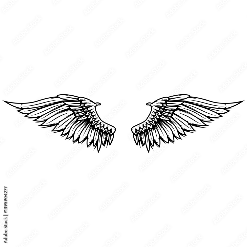 Fototapeta premium vintage vector wings isolated on white background. Design