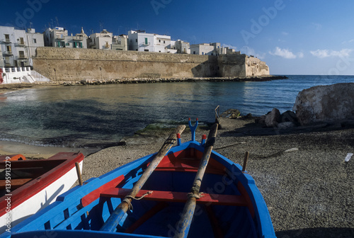 Monopoli, district of Bari, Puglia, Italy, Porta Vecchia cove in the background the fortified walls of the city