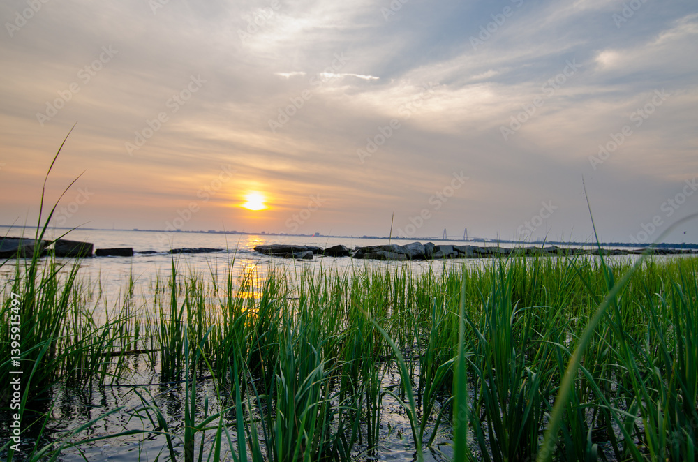Fototapeta premium The Charleston skyline rises majestically behind a tranquil beach, where soft waves kiss the shore—blending city charm with coastal beauty for a perfect balance of history and natural serenity.