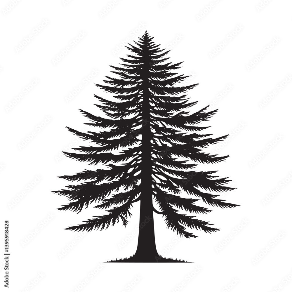 Obraz premium Hemlock tree Silhouette - Hemlock Tree Vector - Tree Design - Tree Art - Hemlock Illustration.