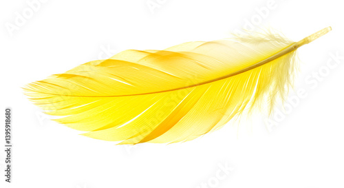 A single bright yellow feather isolated against a stark black background in a studio shot