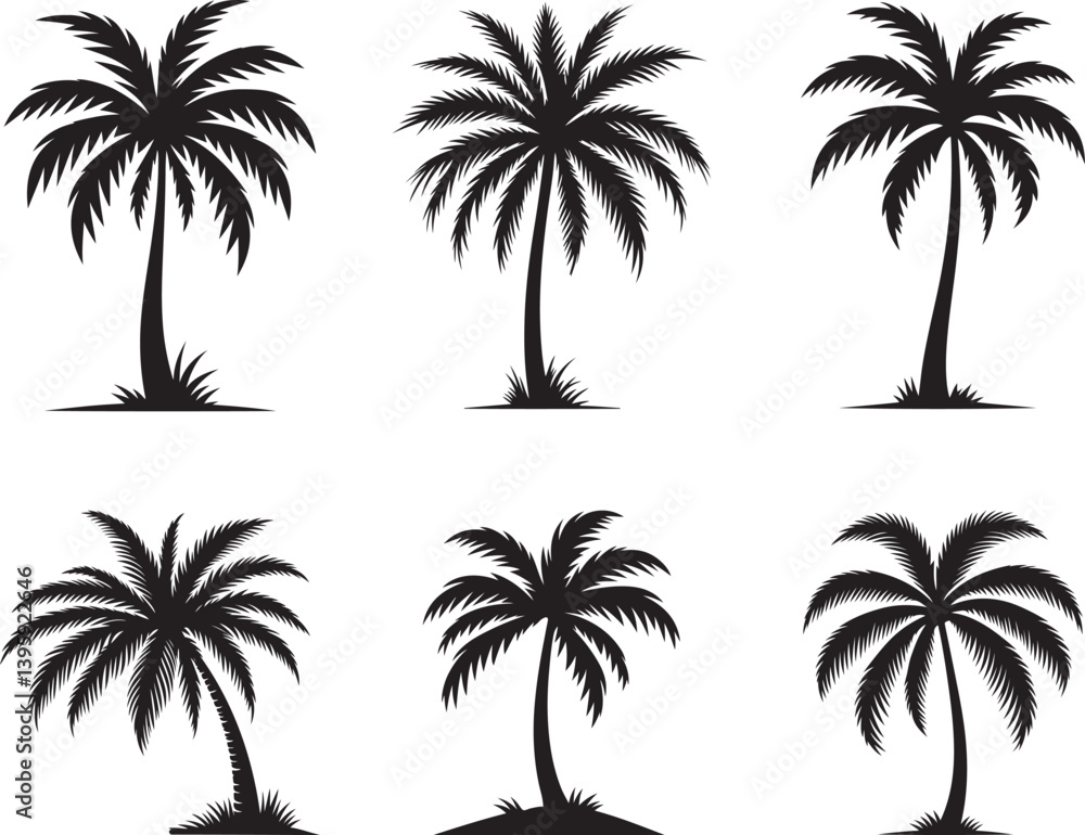 Fototapeta premium a set of six black palm trees on white background