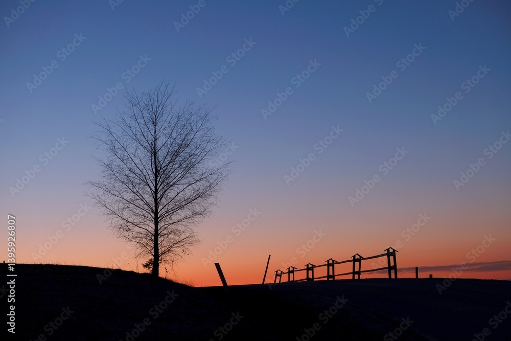 Beautiful scenery with black silhouette of tree and fence with sunrise sky in background. Pass over Lapszanka (Pass over Łapszanka), Podhale, Poland