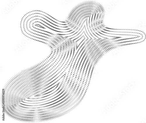 Asymmetrical design composed of warped mesh lines forming a flowing organic figure with irregular boundaries.