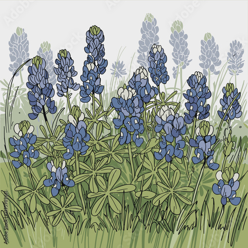 Texas Bluebonnet Field Sketch – Wildflower Line Art Clipart