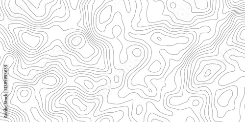 Abstract topographic contours map background, Topography map background. Vector geographic contour map