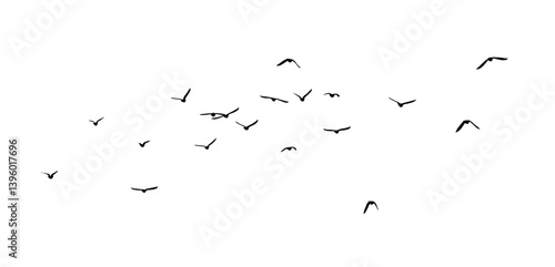 Flying birds silhouette flock. hand drawing. Not AI. Vector illustration.