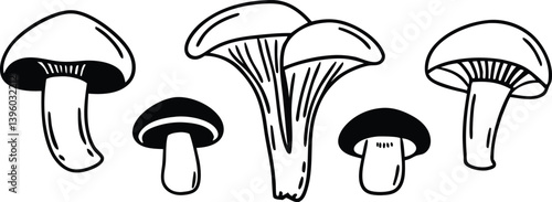 vector illustration of a tooth ,, pattern, brown, agaric, red, organic