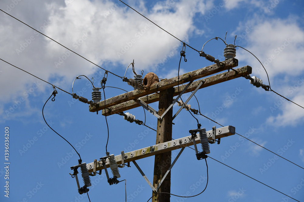 Power network with nests made of clay by the bird known in Brazil as “joão-de-barro”. Scientific name Furnarius rufus Power network with nests made of clay by the bird known in Brazil as “joão-de-barro”. Scientific name Furnarius rufus