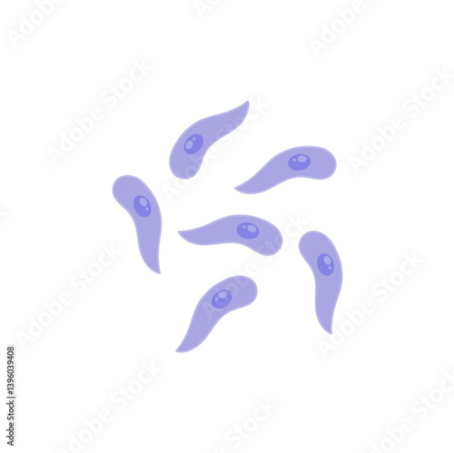 Toxoplasma gondii  bacteria. Vector illustration 