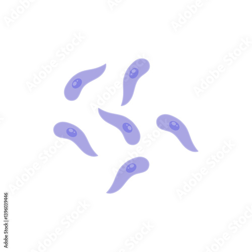 Toxoplasma gondii  bacteria. Vector illustration 