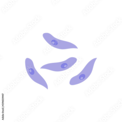 Toxoplasma gondii  bacteria. Vector illustration 