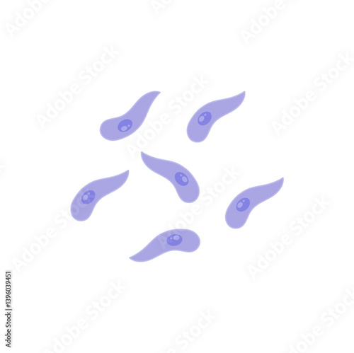 Toxoplasma gondii  bacteria. Vector illustration 