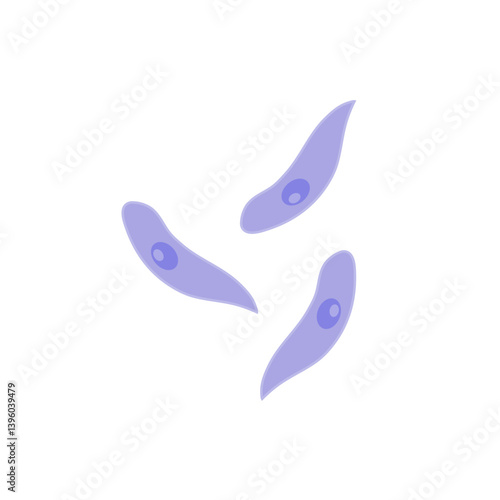 Toxoplasma gondii  bacteria. Vector illustration 