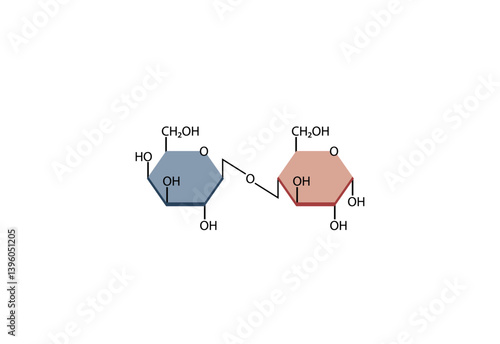 Lactose. Disaccharide Molecule. Glucose Sugar units. Scientific Diagram. Vector Illustration.