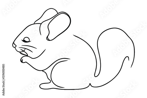 Cute Chinchilla Line Art Vector Illustration Isolated On White Background Graphic Design