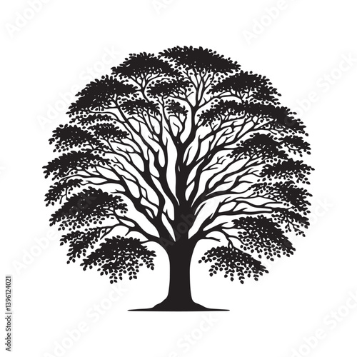 Beech Tree Vector Silhouette, Elegant Forest Tree Outline, Nature-Inspired Clipart for Wall Art, Logos, Stickers, Apparel, Digital Prints, Crafts, Posters, and Home Decor.