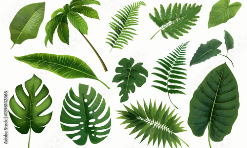 Adobe Illustrator Artwork