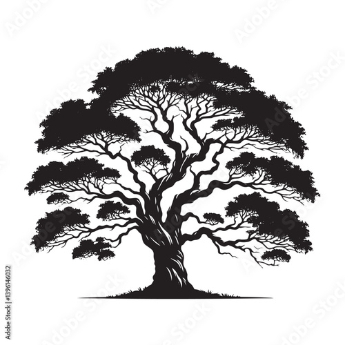 Elm Tree Vector Silhouette, Majestic Nature Tree Outline, Sturdy and Elegant Branches Clipart for Wall Art, Logos, Stickers, Apparel, Digital Prints, Crafts, and Posters.