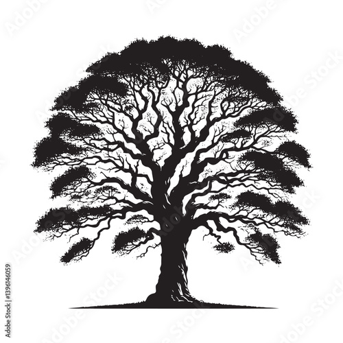 Elm Tree Vector Silhouette, Majestic Nature Tree Outline, Sturdy and Elegant Branches Clipart for Wall Art, Logos, Stickers, Apparel, Digital Prints, Crafts, and Posters.