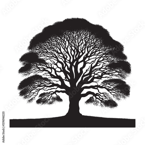 Elm Tree Vector Silhouette, Majestic Nature Tree Outline, Sturdy and Elegant Branches Clipart for Wall Art, Logos, Stickers, Apparel, Digital Prints, Crafts, and Posters.