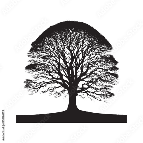 Elm Tree Vector Silhouette, Majestic Nature Tree Outline, Sturdy and Elegant Branches Clipart for Wall Art, Logos, Stickers, Apparel, Digital Prints, Crafts, and Posters.