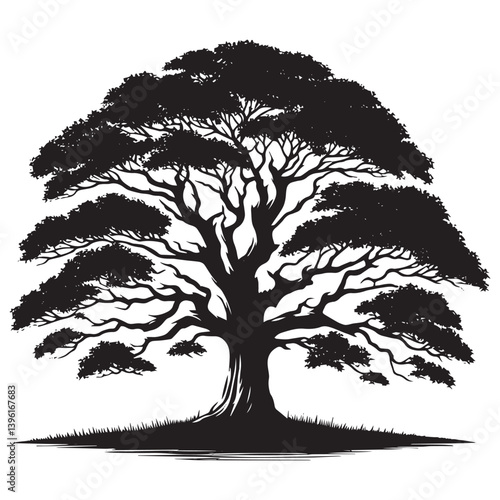 Sycamore Tree Vector Silhouette, Majestic Tree Outline, Nature-Inspired Clipart for Wall Art, Logos, Stickers, Apparel, Digital Prints, Crafts, Posters, and Home Decor.