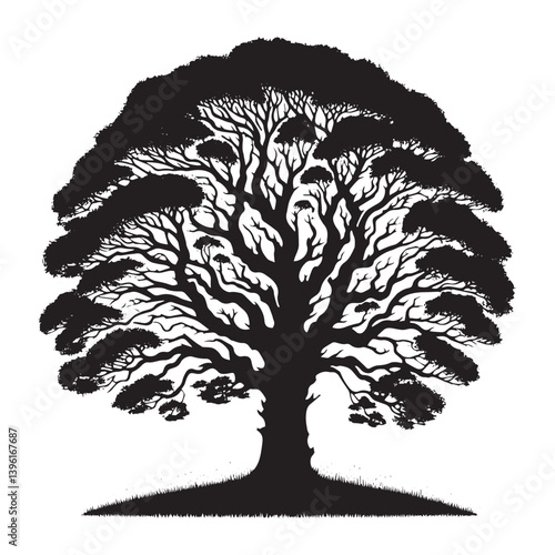 Sycamore Tree Vector Silhouette, Majestic Tree Outline, Nature-Inspired Clipart for Wall Art, Logos, Stickers, Apparel, Digital Prints, Crafts, Posters, and Home Decor.