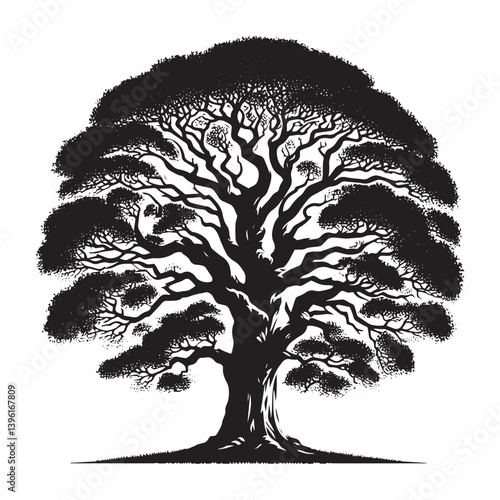 Sycamore Tree Vector Silhouette, Majestic Tree Outline, Nature-Inspired Clipart for Wall Art, Logos, Stickers, Apparel, Digital Prints, Crafts, Posters, and Home Decor.