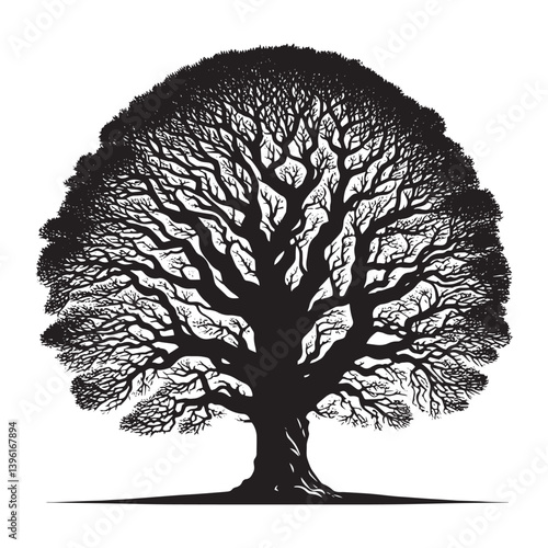 Sycamore Tree Vector Silhouette, Majestic Tree Outline, Nature-Inspired Clipart for Wall Art, Logos, Stickers, Apparel, Digital Prints, Crafts, Posters, and Home Decor.