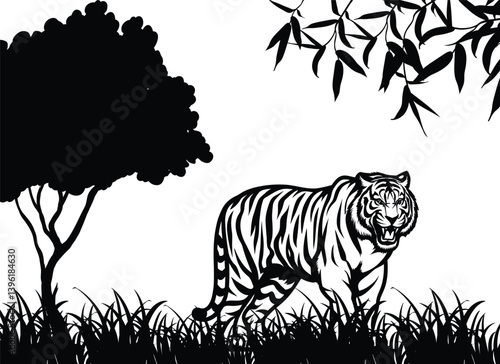 Tiger Silhouette in Jungle