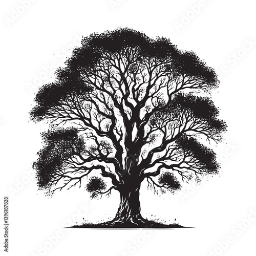 Poplar Tree Vector Silhouette, Elegant Tree Outline, Nature-Inspired Clipart for Wall Art, Logos, Stickers, Apparel, Digital Prints, Crafts, Posters, and Home Decor.