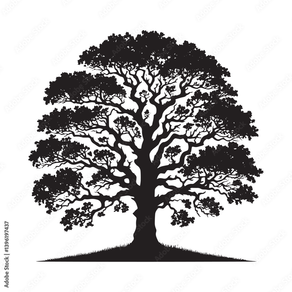 Fototapeta premium Oak Tree Vector Silhouette, Majestic Tree Outline, Nature-Inspired Clipart for Wall Art, Logos, Stickers, Apparel, Digital Prints, Crafts, Posters, and Home Decor.