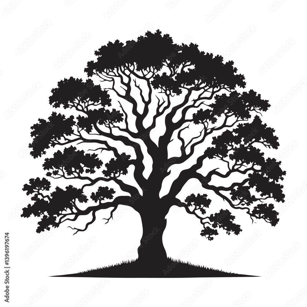 Fototapeta premium Oak Tree Vector Silhouette, Majestic Tree Outline, Nature-Inspired Clipart for Wall Art, Logos, Stickers, Apparel, Digital Prints, Crafts, Posters, and Home Decor.