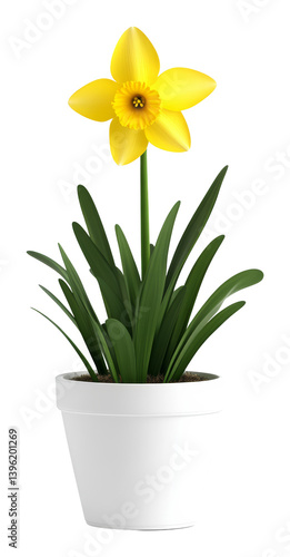Wallpaper Mural Yellow daffodil in white pot on transparent background, 3d rendering of spring flower Torontodigital.ca