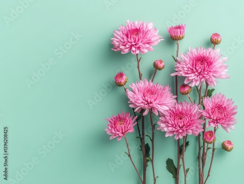 Pink flowers with lush peta...