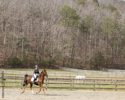 Fotografie A woman riding a Saddlebred horse at a trot in English attire with a hill in the background in the early spring