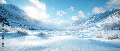 Snowy Mountain Valley