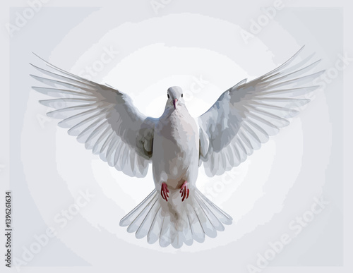 White Dove Flying with Wings Spread Front View Illustration