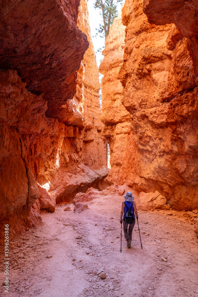 Woman hikes Navajo loop trail in Bryce Canyon National Park, Utah. Bryce Canyon is a collection of giant natural amphitheaters along the eastern side of the Paunsaugunt Plateau