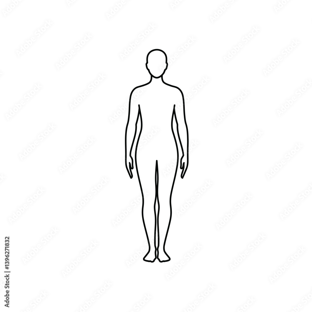 Full Body Outline Of Standing Woman Isolated On White Background Vector Illustration Full Body Outline Of Standing Woman Isolated On White Background Vector Illustration