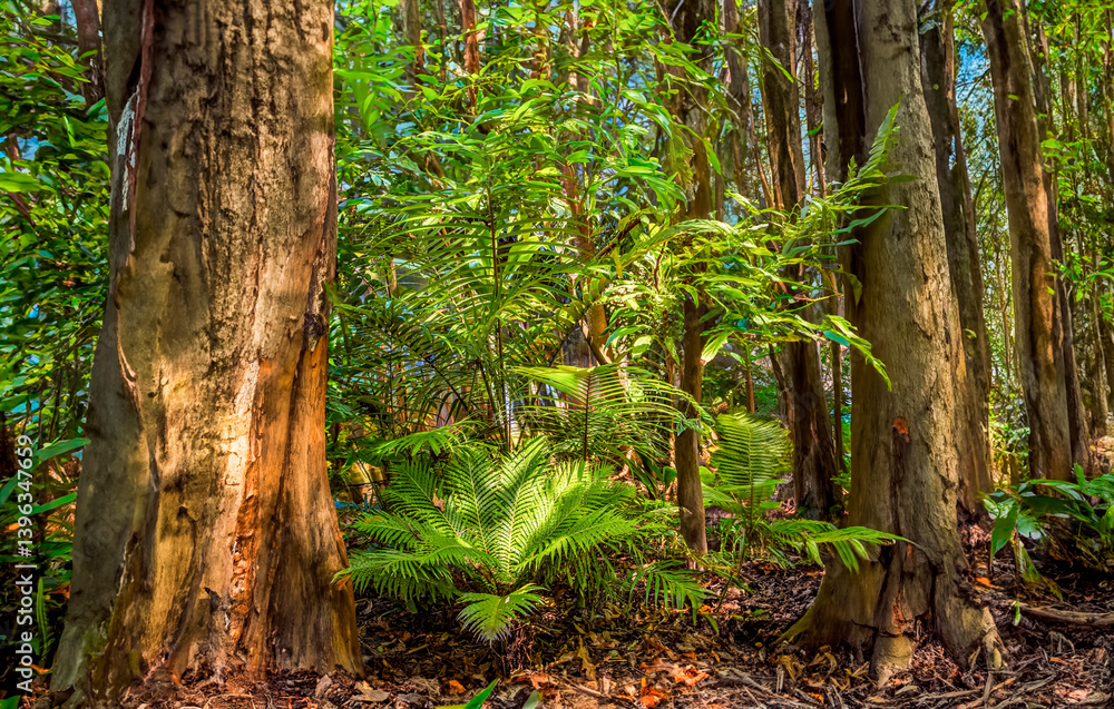 Green forest in the morning AI