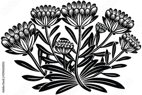 Black and white floral pattern with vintage flower and leaf design