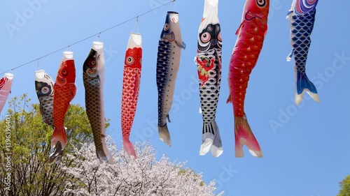 鯉のぼり
