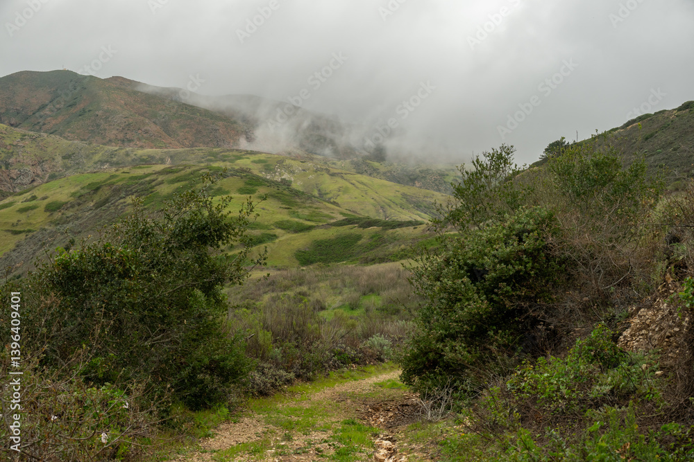 Clouds and Fog Waft through Canyon on Santa Cruz Island